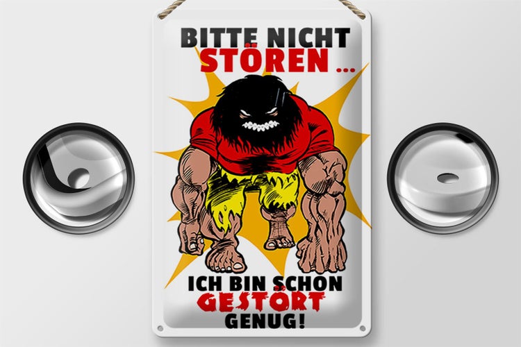 Blechschild Spruch 20x30cm Nicht stören bin gestört genug