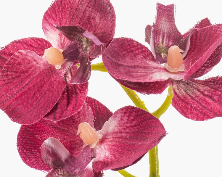 Nahaufnahme einer künstlichen Orchidee mit grünen Blättern in einem terrakottafarbenen Topf mit dunkler Erde.