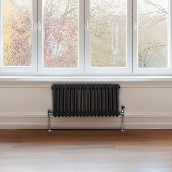 Traditioneller 2-Spalten-Heizkörper - 300 x 832 mm - Schwarz