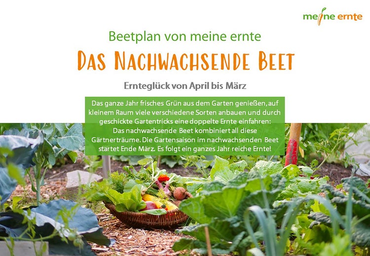 E-Book  Das Nachwachsende Beet, Gemüsebeet, digitaler Beetplan, Pflanzplan, Anleitung, Selbstversorgung, Anzucht, Pflege und Ernte