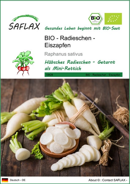 SAFLAX  - BIO - Radieschen - Eiszapfen - Raphanus sativus - 100 Samen