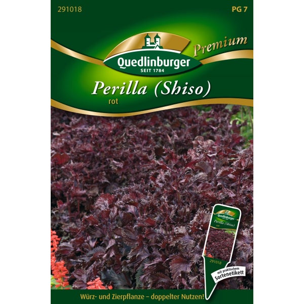 Perilla rot Samen von Quedlinburger SAATGUT