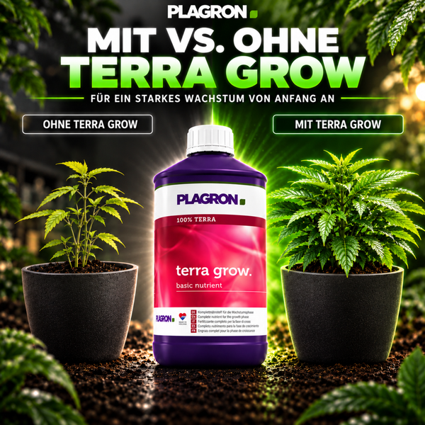 Plagron Terra Grow Pflanzennährstoff in Flasche mit Vergleichsdarstellung des Pflanzenwachstums mit und ohne Düngerzugabe.