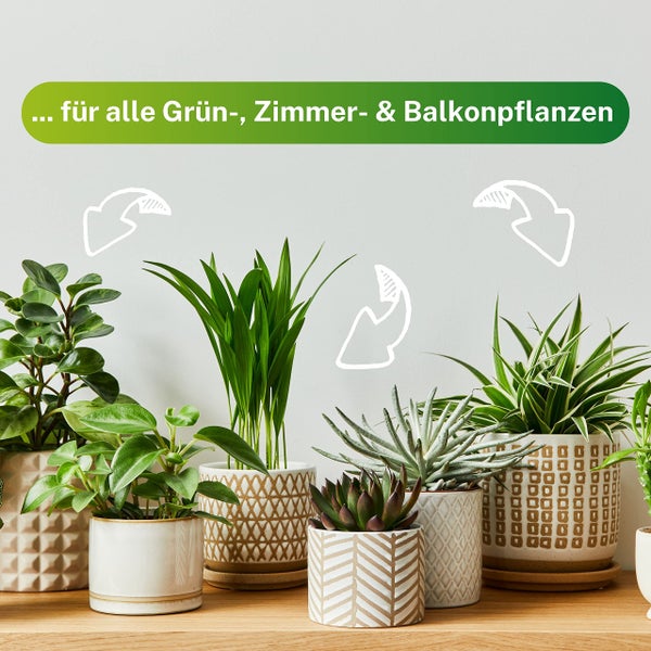 Greenyp 100x Universaldünger Grünpflanzen Düngestäbchen für alle Grün- & Zimmerpflanzen I Langzeitdünger NPK Dünger mit Eisen und 3 Monate Düngekraft
