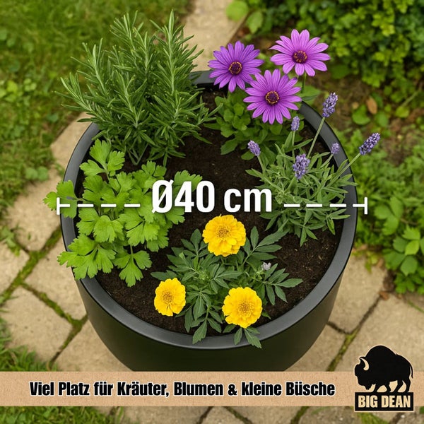 Bepflanzter Pflanztopf mit Kräutern und Blumen, Durchmesser 40 cm, Big Dean Logo