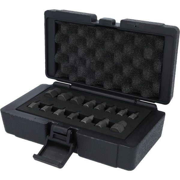 Schraubenausdreher Set in geöffnetem schwarzen Kasten