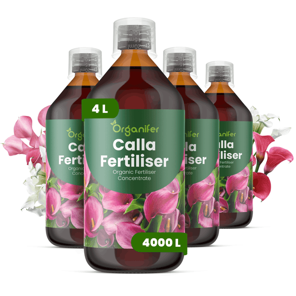 Organifer Calla Dünger, organisches Düngerkonzentrat, 4 Flaschen à 1 Liter für insgesamt 4000 Liter Düngerlösung.