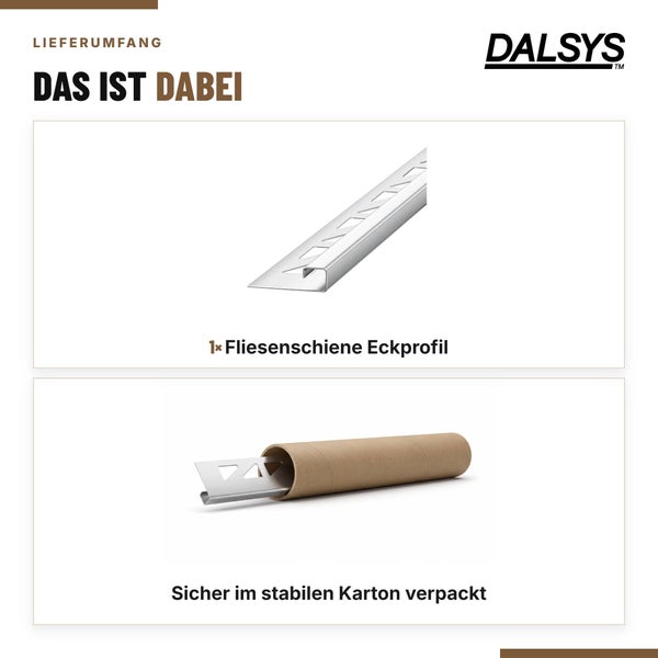 Dalsys Logo und Lieferumfang bestehend aus einer Fliesenschiene als Eckprofil sicher verpackt in einer stabilen Kartonhülse