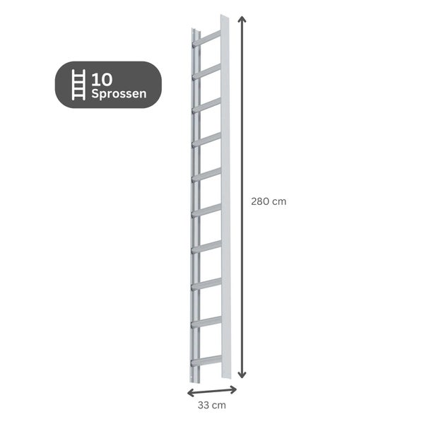 PROREGAL Dachleiter Alu Natur 10 Sprossen