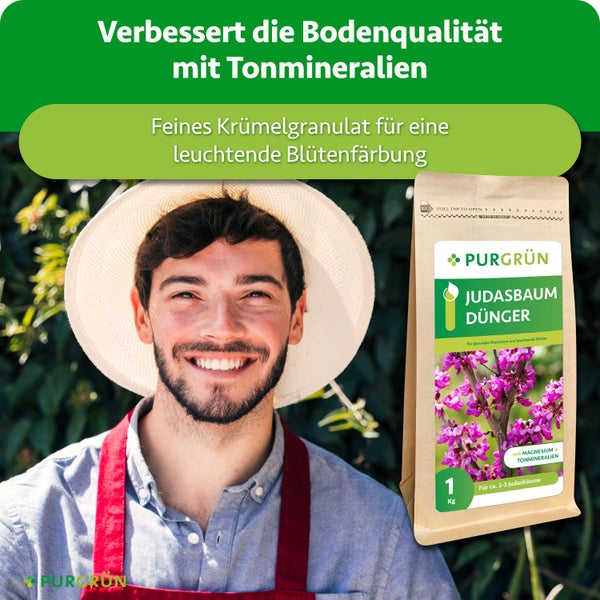 Ein glücklicher Gärtner mit einem Beutel Purgrün Judasbaum Dünger als feines Krümelgranulat mit Tonmineralien für kräftige Blüten.