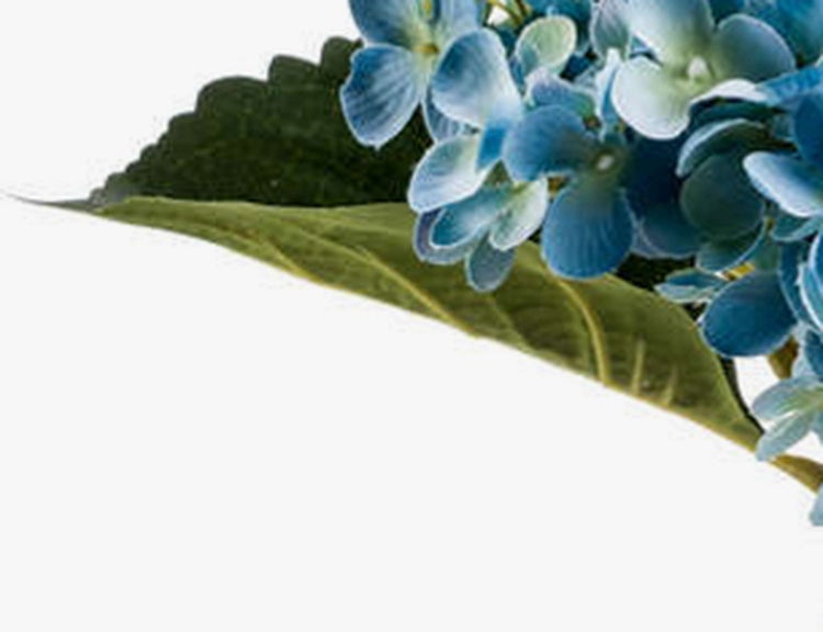 Künstliche Hortensie mit blauen Blüten und grünem Blatt