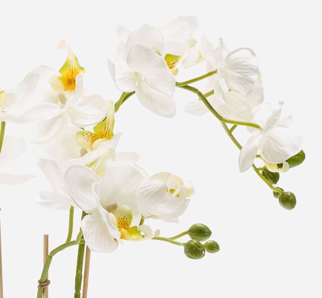 Künstliche Orchidee Phalaenopsis mit weißen Blüten, gelber Mitte, grünen Knospen und Stützstäben aus Holz.