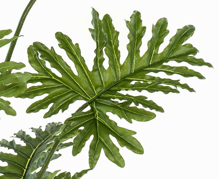 Grünes künstliches Philodendron-Blatt mit tief eingeschnittenen, gewellten Rändern und sichtbarer Blattaderung.