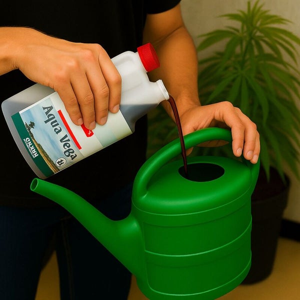 Eine Person gießt Aqua Vega Pflanzendünger aus der Flasche in eine grüne Gießkanne für die Pflanzenpflege.