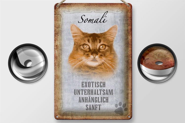 Blechschild Spruch 20x30cm Somali Katze Schild deko