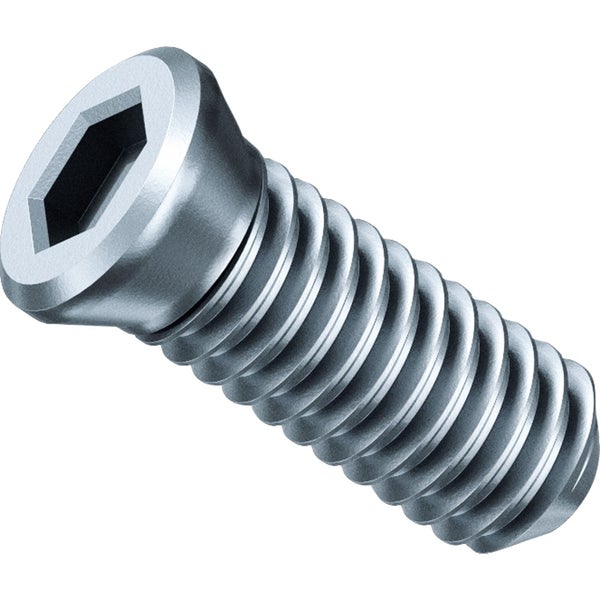 Metallschraube mit Innensechskant