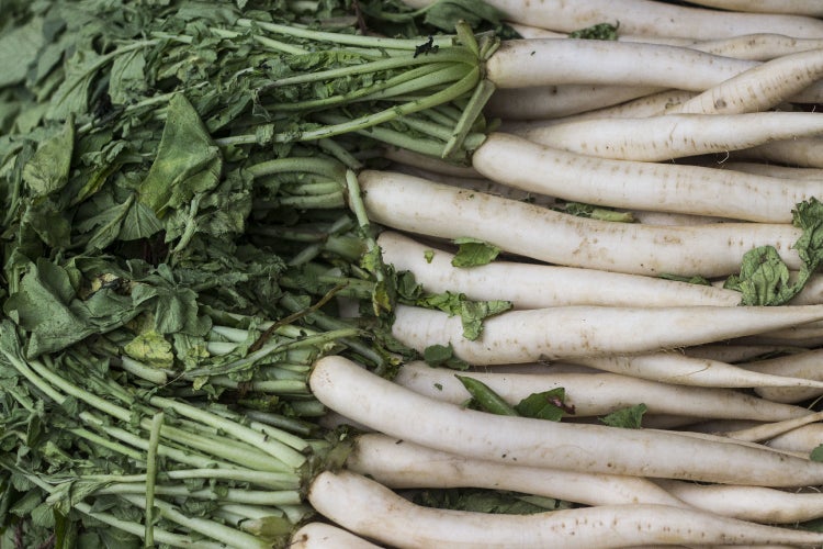 SAFLAX Garden in the bag - BIO - Radieschen - Eiszapfen - Raphanus sativus - 100 Samen - Mit Anzuchtsubstrat im praktischen, selbst aufstellenden Beutel