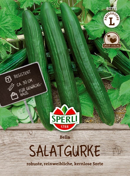 Samen für Salatgurke Bella von Sperli für das Gewächshaus, resistent, Fruchtlänge circa 30 Zentimeter, kernlose Sorte.