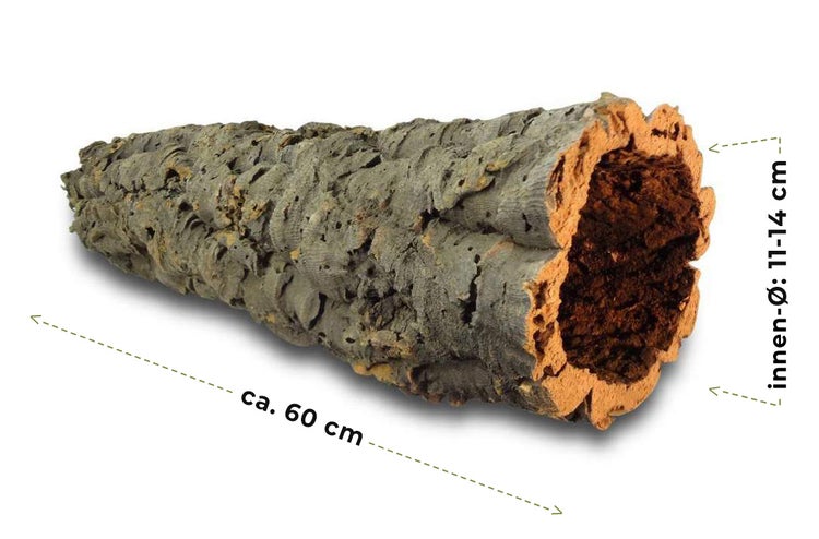 Korkröhre aus Naturkork für Terrarien, Länge circa 60 Zentimeter, Innendurchmesser 11 bis 14 Zentimeter.