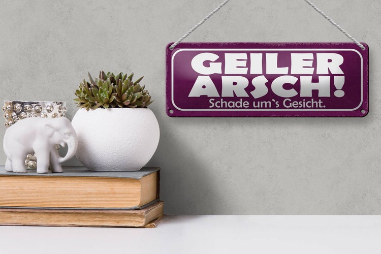 Blechschild Spruch 27x10cm Geiler Arsch Schade um`s Gesicht Dekoration