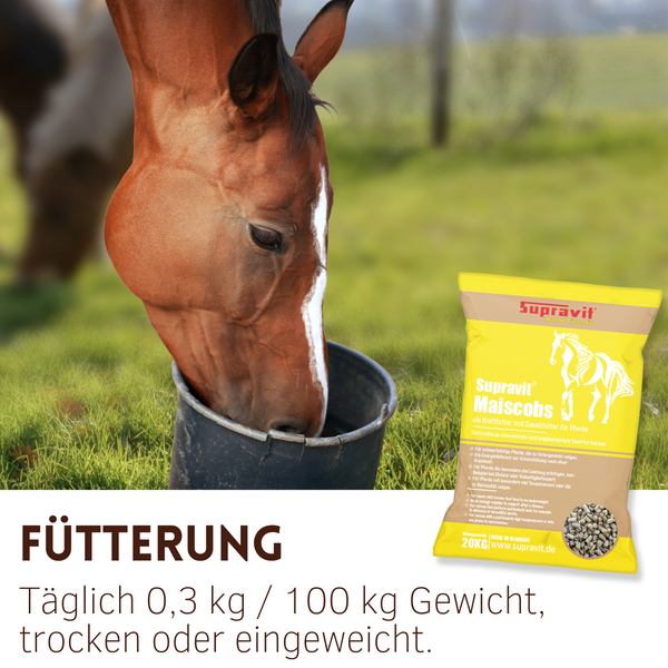 Pferd frisst aus Eimer neben einer Packung Supravit Maiscobs Pferdefutter