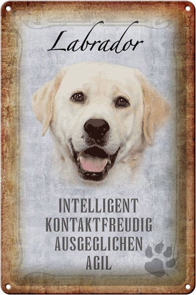 Blechschild Spruch 20x30cm Labrador Hund Schild