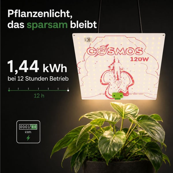 Pflanzenlampe Cosmos 120 Watt über einer Zimmerpflanze. Angabe zum sparsamen Energieverbrauch von 1,44 Kilowattstunden bei 12 Stunden Betrieb.