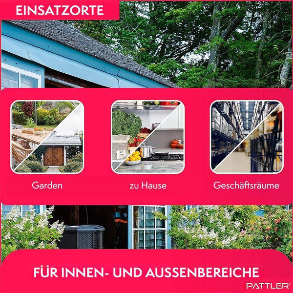 PATTLER® Mausefalle lebend - Extra große Lebendfalle Maus | Tierfreundlich Mäusefalle | Ratten oder Kleintiere Fangen - mit Luftlöchern | Einfache Aufstellung im Haus oder Garten - 2 Stück