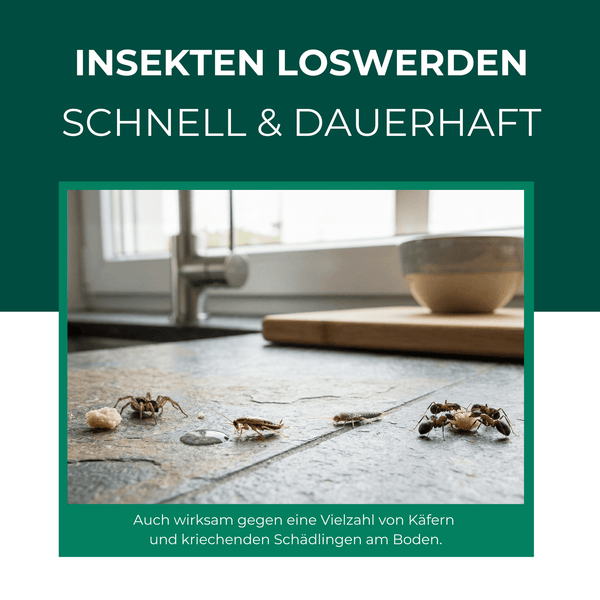 Insekten auf einer Küchenoberfläche mit Text, der für Schädlingsbekämpfung wirbt.