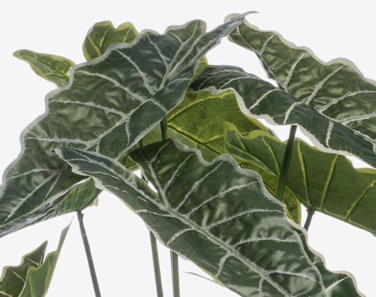 Künstliche Alocasia mit dunkelgrünen Blättern, hellen Blattadern und grünen Stielen.