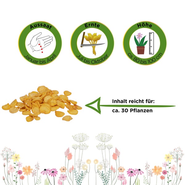 Aussaat Januar bis April, Ernte Juli bis Oktober, Wuchshöhe circa 80 bis 100 Zentimeter, Inhalt für circa 30 Pflanzen.