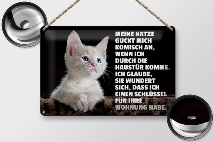 Blechschild Spruch 30x20cm Katze guckt mich komisch an
