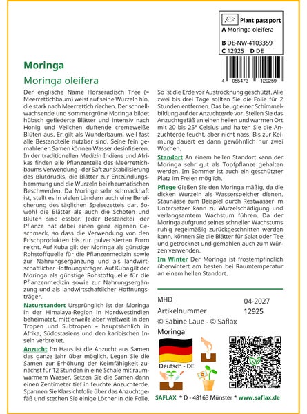 SAFLAX Garden to go - Moringa - Moringa oleifera - 10 Samen - Mit Topf, Klima - Deckel und Anzuchtsubstrat