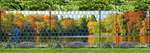 Sichtschutzzaun mit herbstlichem Motiv