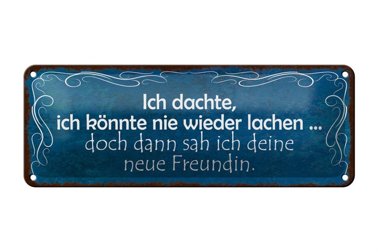 Blechschild Spruch 27x10cm Freundin ich kann wieder lachen Dekoration