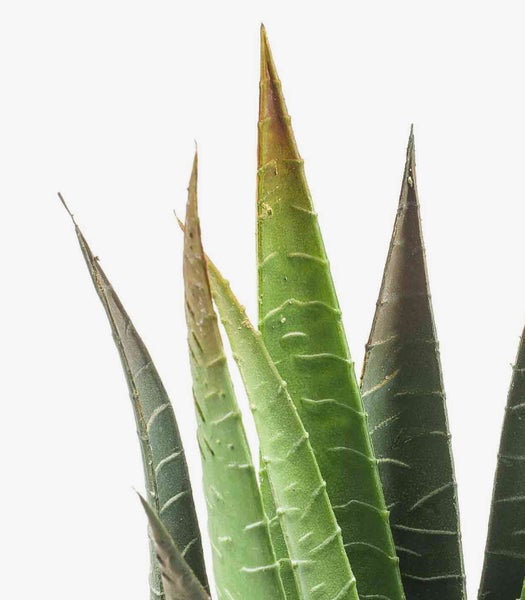 Künstlicher Kirschblütenzweig mit weißen und rosa Blüten sowie braunen Ästen für die Innendekoration.