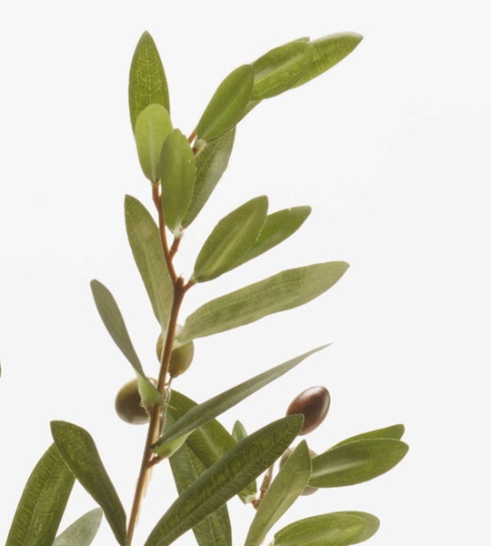 Künstlicher Olivenzweig mit grünen Blättern und Olivenfrüchten.