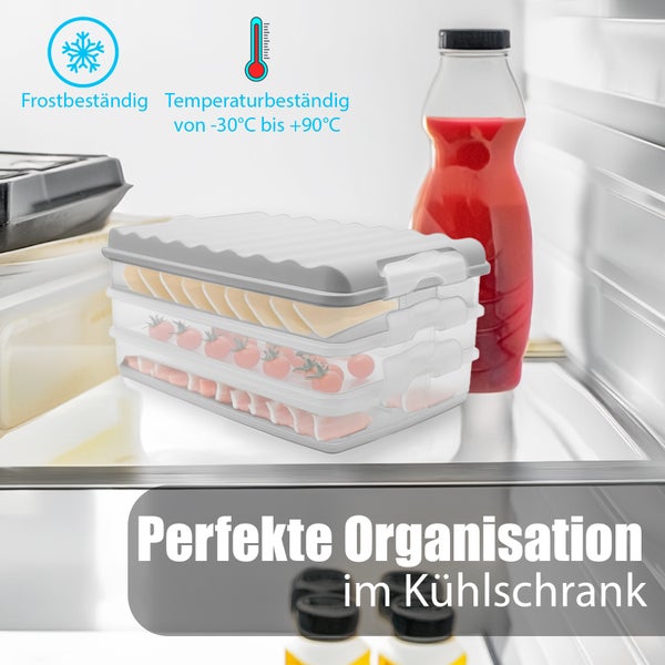 BigDean 3 Stück Aufschnittboxen für Kühlschrank Größe L – Aufbewahrung von Wurst, Käse u.v.m. – stapelbare Aufschnittdosen Made in Germany
