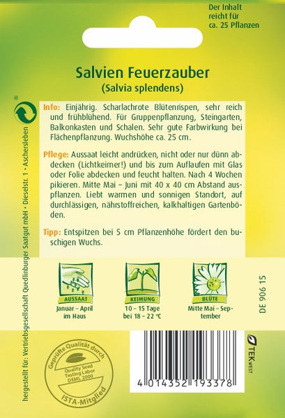 Rückseite der Saatgutpackung für Salvien Feuerzauber mit Informationen zu Aussaat, Keimung und Blütezeit sowie Hinweisen zur Pflege.