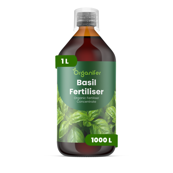 Organifer Basilikum-Dünger, 1 Liter organisches Düngerkonzentrat in einer Flasche mit Messkappe.