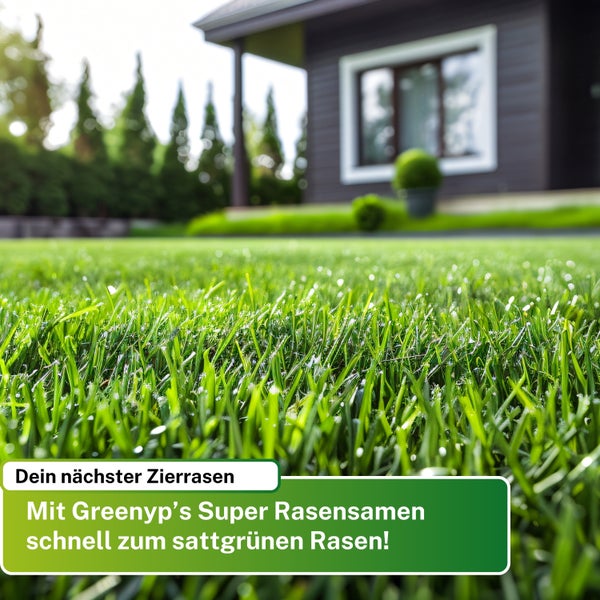Greenyp Super Rasen I sattgrüner Premium Zierrasen I 5kg für 200m² I Traumrasen Nachsaat Grassamen Rasensamen Rasensaat Gras schnellkeimend