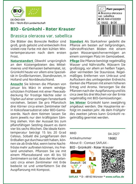 SAFLAX Garden to go - BIO - Grünkohl - Roter Krauser - Brassica oleracea var. sabellica - 50 Samen - Mit Topf, Klima - Deckel und Anzuchtsubstrat