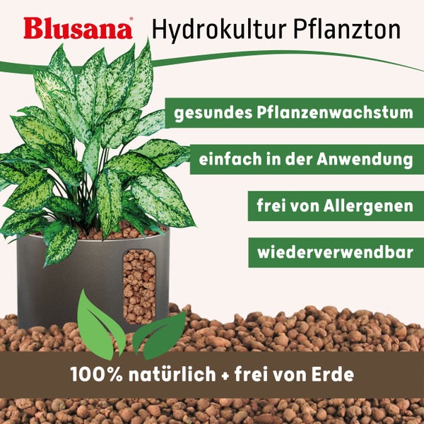 Blusana Blähton 10l Pflanzsubstrat für Hydrokultur Ton-Granulat Körnung 2-4 mm Pflanzton Drainagematerial & Bodenauflockerung