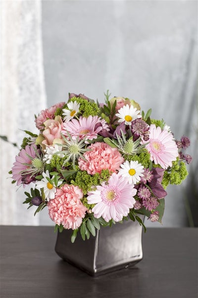 Leucanthemum vulgare, Margerite, weiß, ca. 9x9 cm Topf