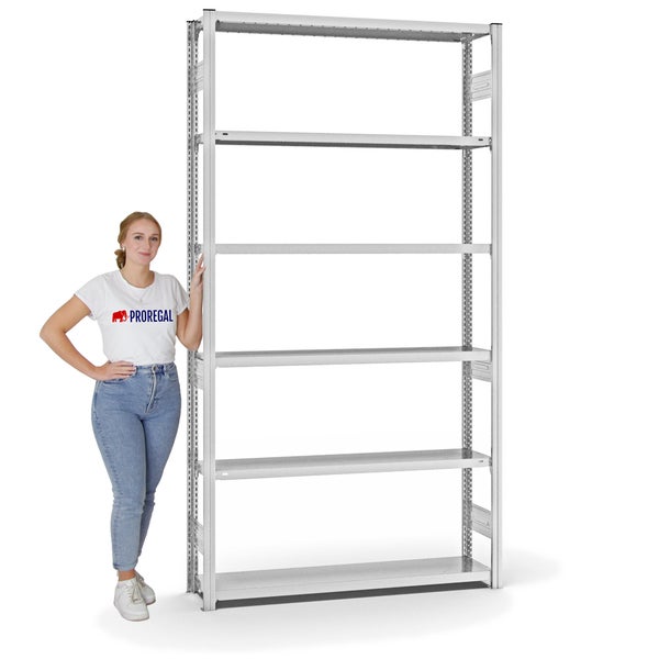 PROREGAL Fachbodenregal Stecksystem T-Profil Heavy-Duty Grundregal HxBxT 250 x 130 x 30 cm 6 Ebenen Fachlast 300 kg Beidseitig Nutzbar Lichtgrau