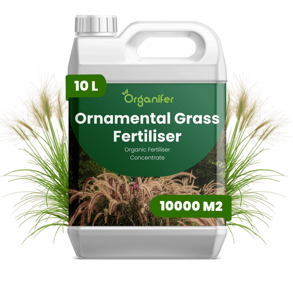 Organifer Logo. 10 Liter Kanister Ziergrasdünger Konzentrat, organischer Dünger für 10000 Quadratmeter.