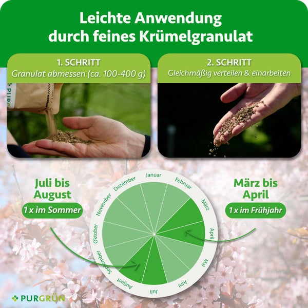 Anleitung zur Anwendung von Purgrün Düngergranulat in zwei Schritten und Kalender zur Düngezeit im Frühjahr sowie Sommer.