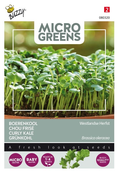 Microgreens-Saatgutpackung mit Grünkohl