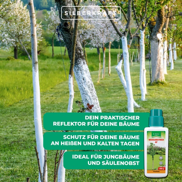 Weißanstrich für Bäume – Schutzanstrich gegen Frostrisse, Sonnenbrand & Schädlingsbefall – Witterungsbeständig, atmungsaktiv & ergiebig – Für Obstbäume & Ziergehölze geeignet