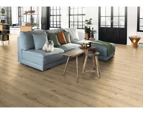 Wohnzimmer mit Laminatboden, Sofa, Holztischen und einer Katze